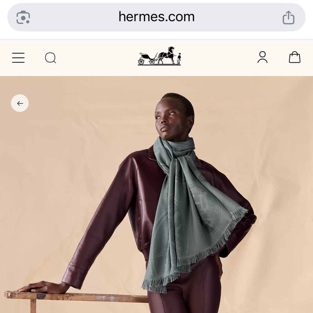 Hermes Scarf